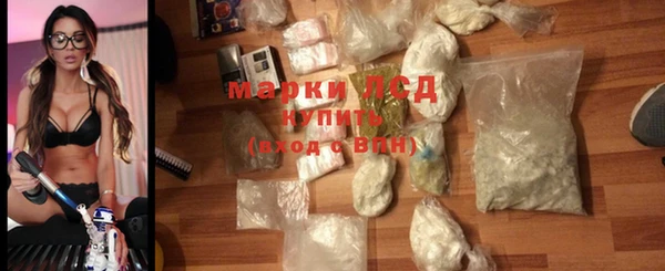 ECSTASY Инсар