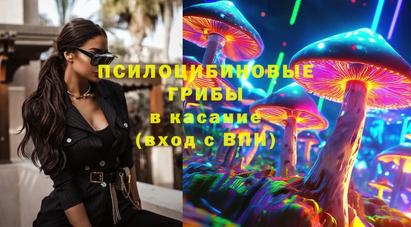 СК Зеленокумск