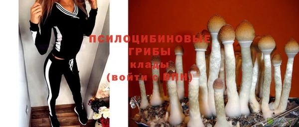 ECSTASY Зеленодольск