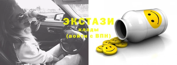ECSTASY Инсар