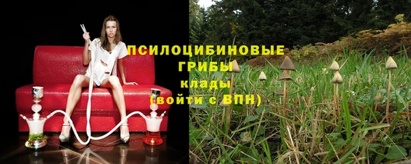 ECSTASY Инсар