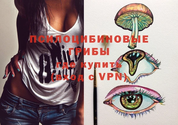 ПСИЛОЦИБИНОВЫЕ ГРИБЫ Зерноград