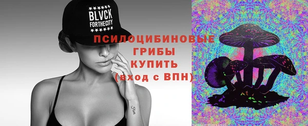 стаф Каменск-Шахтинский