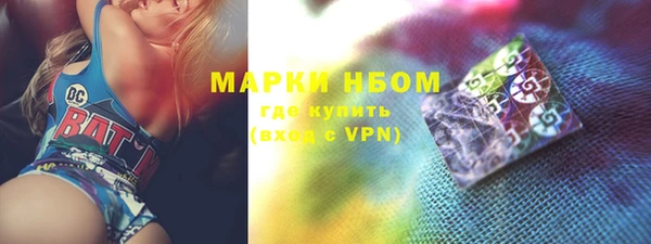 СК Зеленокумск