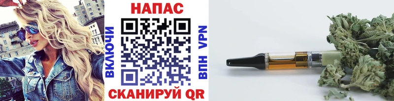 Конопля план  Купить закладки  Свободный 